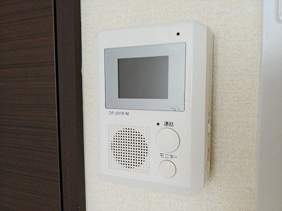 レオネクストウリュウのその他