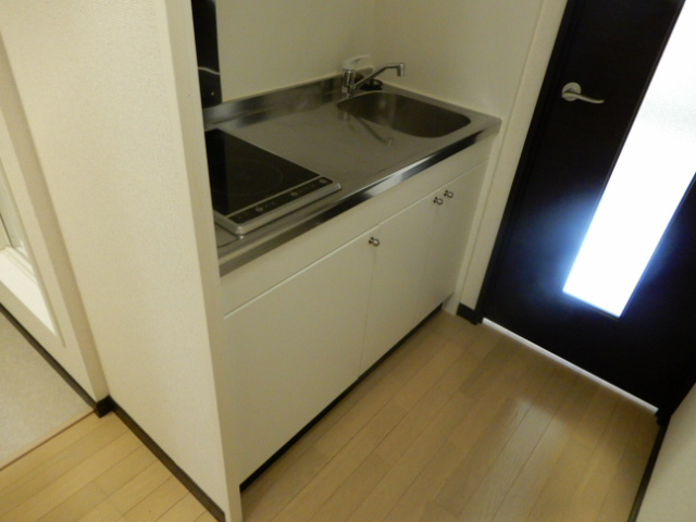 レオネクストウリュウのキッチン