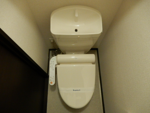 レオネクストウリュウのトイレ