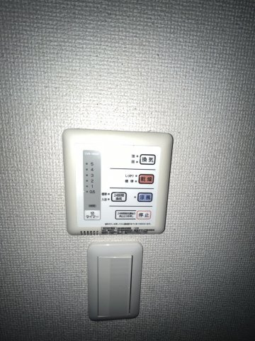 レオネクストミズキのその他