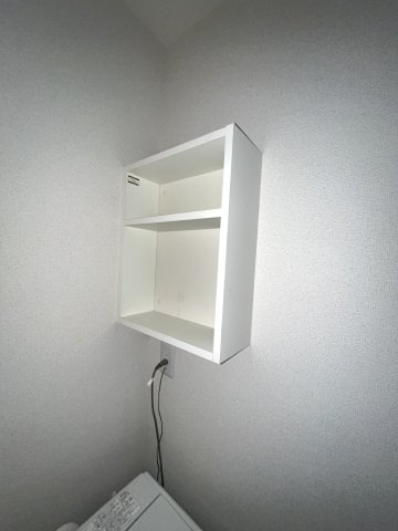 レオネクストミズキのその他