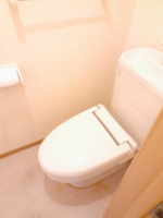 落ち着いた色調のトイレです