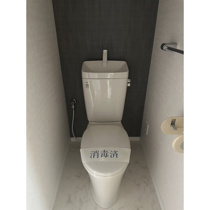 落ち着いた色調のトイレです