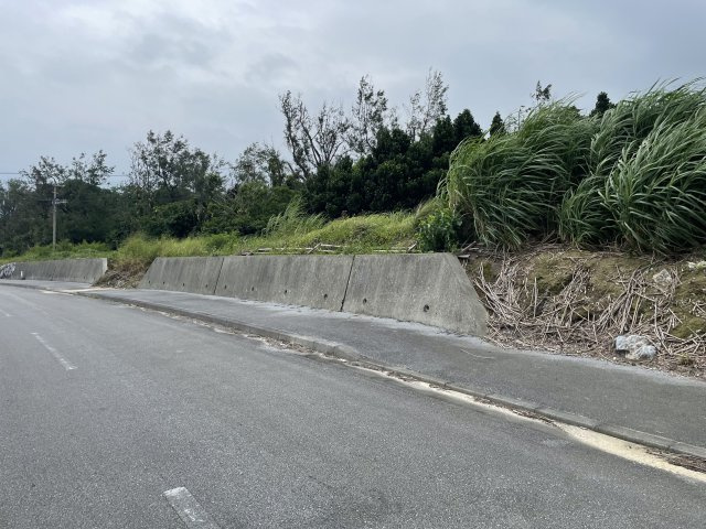 〇海岸沿いオーシャンビュー　今帰仁村土地　の外観
