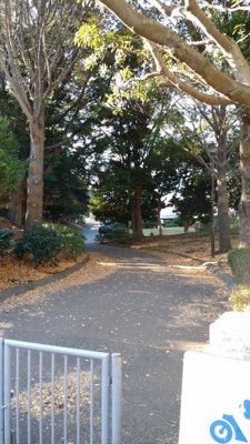 【周辺】 | 篠原ハイム | 岸根公園まで646m