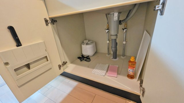 ステージグランデ蒲田の洗面所