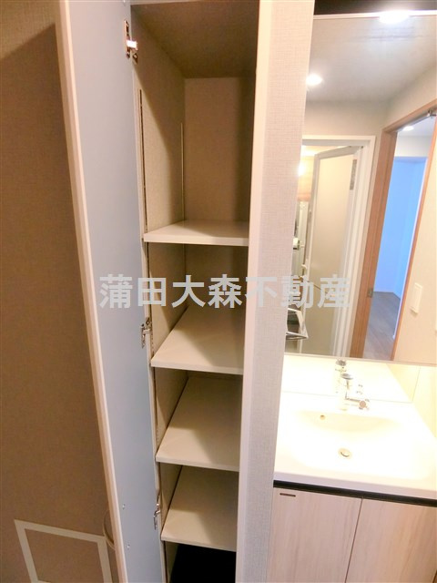プライマル西蒲田の収納|洗面収納
