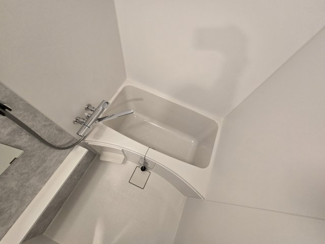 エスリード ザ・レガリア新栄ALTAIER|名古屋市の賃貸ならMy賃貸の浴室|エスリード ザ・レガリア新栄ALTAIER