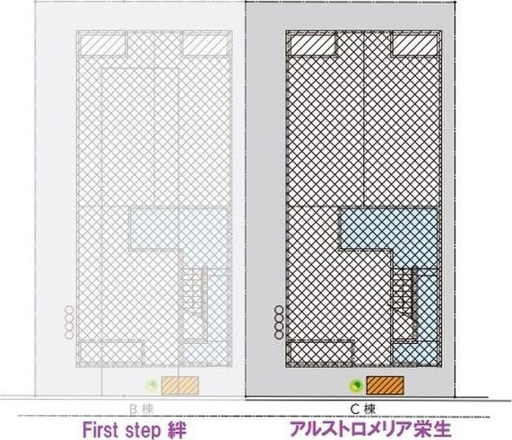 アルストロメリア栄生(アルストロメリアサコウ)のその他