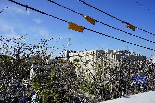福岡市南区塩原３丁目の賃貸マンションの展望|物件の画像13