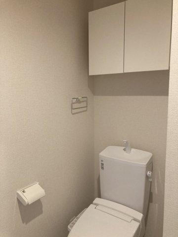 Metisのトイレ
