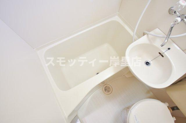 第IIコーポリーブルの浴室