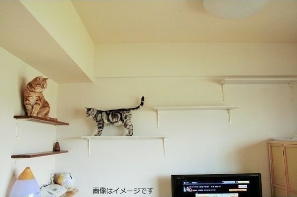 Chaton高畑のその他
