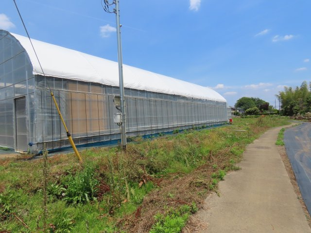 川越市笠幡売地の展望