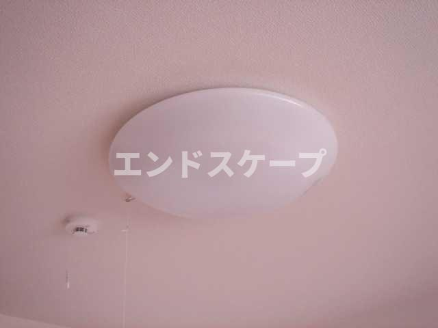 カテリーナの設備|照明
高崎、前橋のお部屋探しはエンドスケープまで！お客様の理想お聞かせ下さい♪
