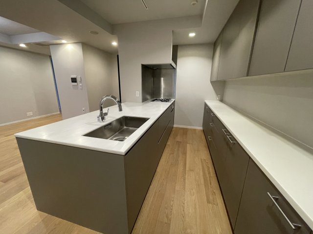 ★仲介手数料半額★Park Court Geo Nagatacho （新規フルリノベーション済み）のキッチン