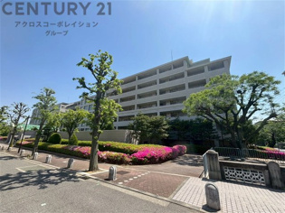 RC造8階建て