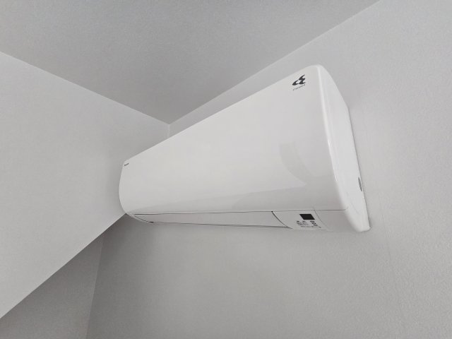 チャトラのその他