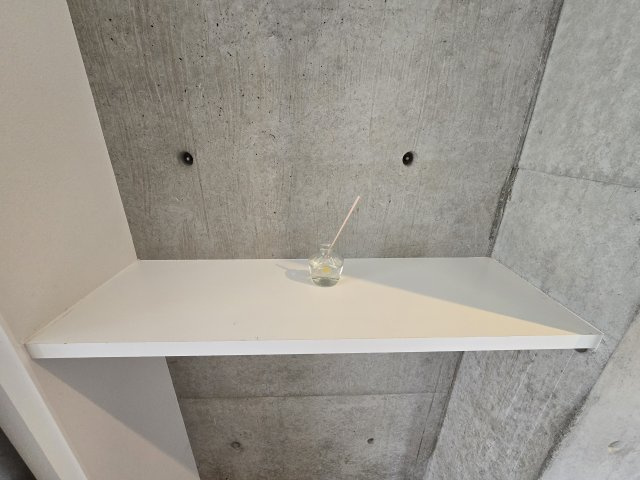 チャトラの洗面所