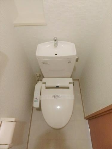 ステラ蔵上のトイレ