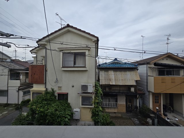 チャトラの展望