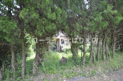 【周辺】 | 丹波市山南町玉巻