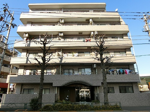 ドムール江古田の外観|ドムール江古田５階部分のお部屋は通常仲介手数料２１７万７６７０円→０円！さらにキャッシュバック１７万円にて即日現地案内可能です！