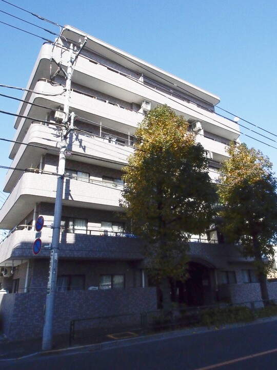 ドムール江古田の外観|ドムール江古田：徒歩圏内にスーパー等があり生活住環境良好！