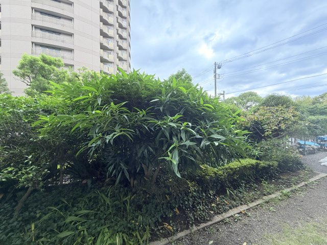 【展望】 | 大島ファミール恩賜公園