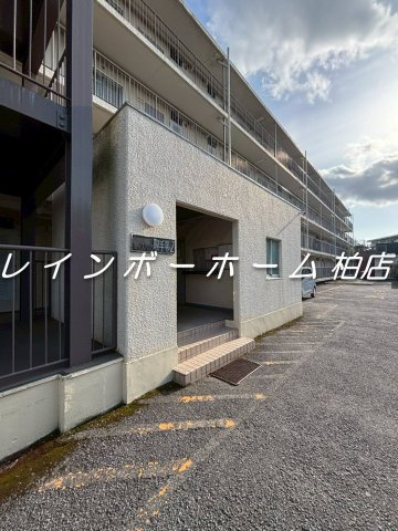 特典：仲介手数料が無料です!!のエントランス|落ち着いたエントランスです