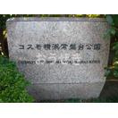 コスモ横浜常盤台公園のその他
