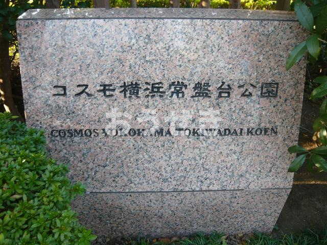 コスモ横浜常盤台公園のその他共用部分