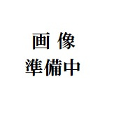 ケイ・エー・テラスハウスの洗面所