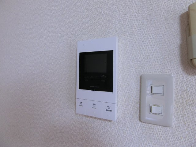 ヴェルドゥミールのセキュリティ