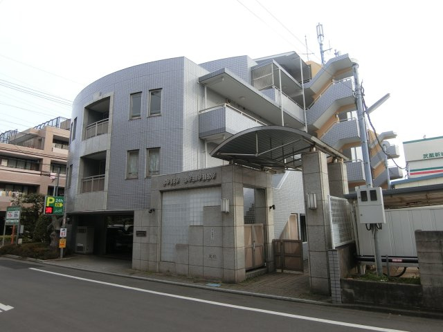 ヴェルドゥミールの外観