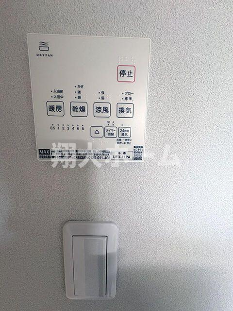セドロトレスのその他