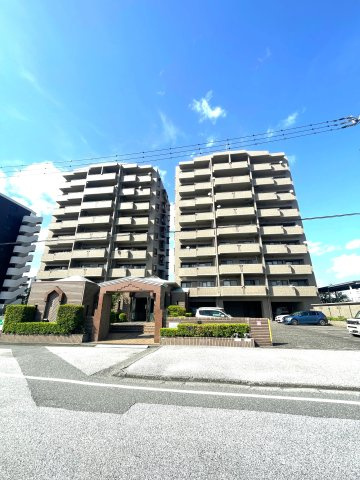 サーパス中の島