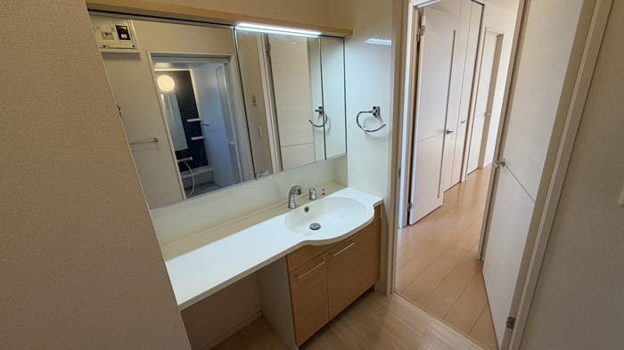 アルビレオ103の洗面所