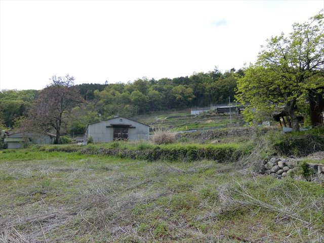 亀沢農地付住宅３LDKオール電化太陽光パネルのその他|田畑