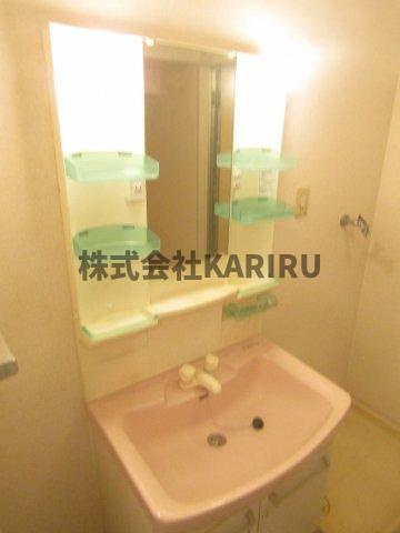 グリーンプラザの洗面所