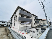 ヴェラロホの画像