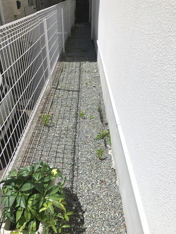もみの木台戸建の庭