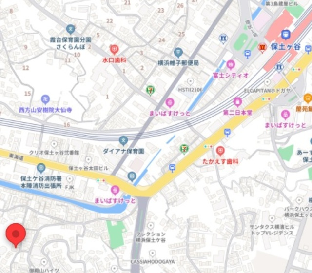 ｆｏｒｕｔｕｎａの地図