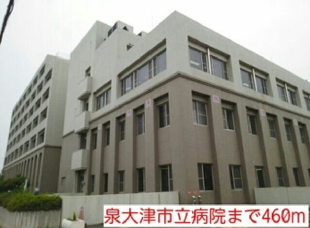 カーサ　プラシードⅡの周辺|泉大津市立病院まで460m