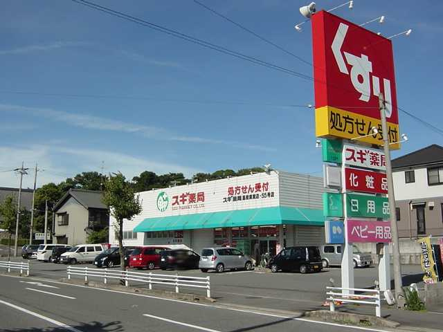 ルナリア中ノ池の周辺|スギ薬局高横須賀店まで1,691ｍ