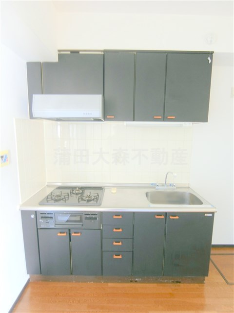 多摩リバビューマンションのキッチン|3口ガスグリル付システムキッチン　