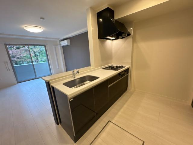 ｓｕｎｓｈｉｎｅ　ｒｅｓｉｄｅｎｃｅのキッチン|キッチン