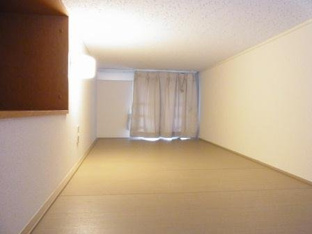 広々としたロフトです。収納も付いています。