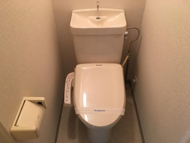 レオパレスルミエールのその他