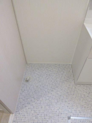 【洗面所】 | メゾンルボア大里 | 洗面所です